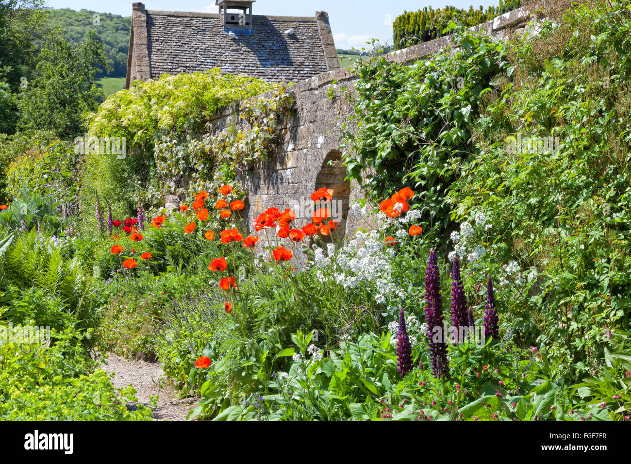 Estate Garden cottage con papavero rosso, lupino viola e altri fiori in fiore, con un percorso a piedi contro il muro di pietra Foto Stock