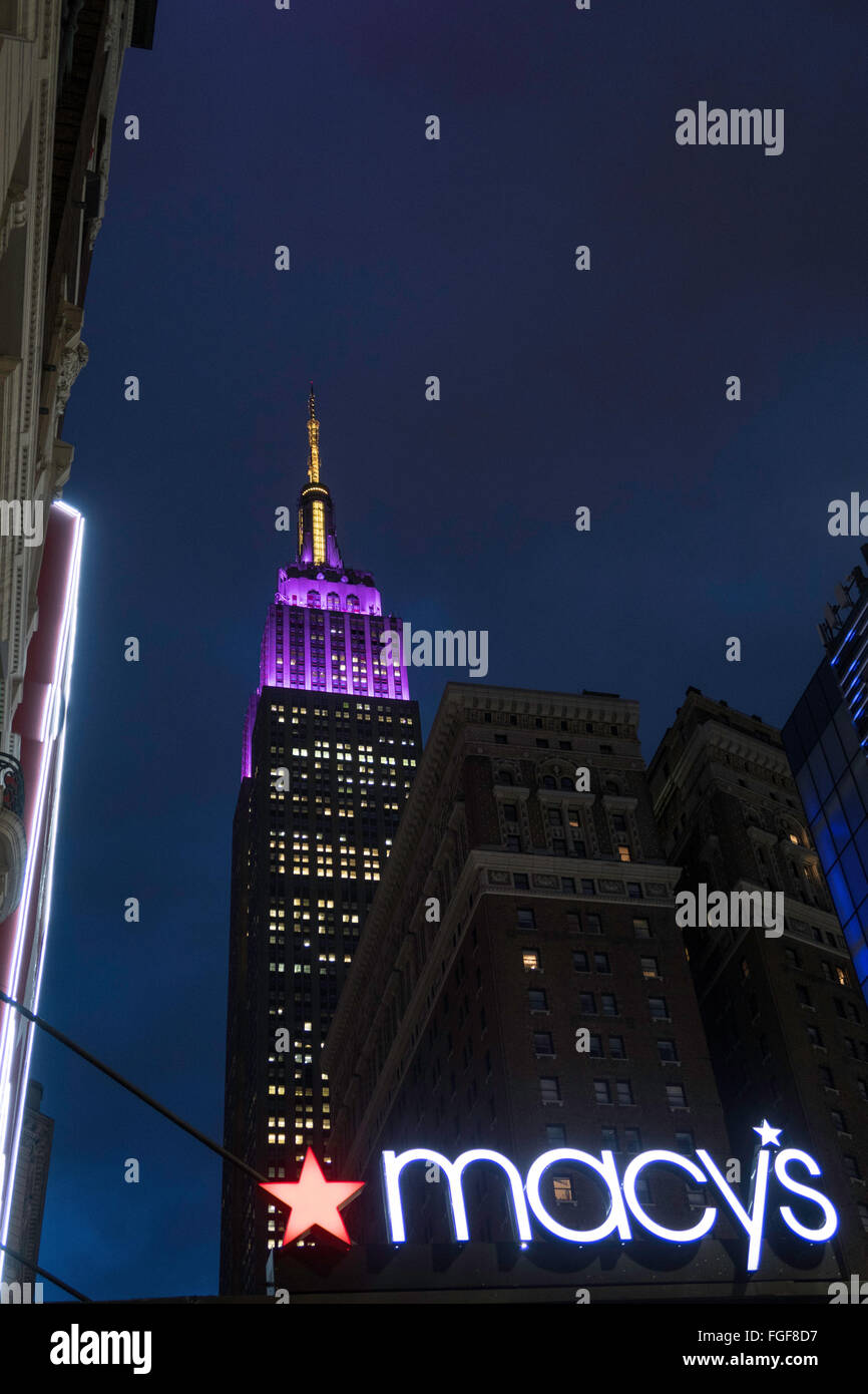 Empire State Building illuminato in porpora e giallo per il centoquarantesimo annuale di Westminster Kennel Club tutto razza Dog Show, NYC, STATI UNITI D'AMERICA Foto Stock