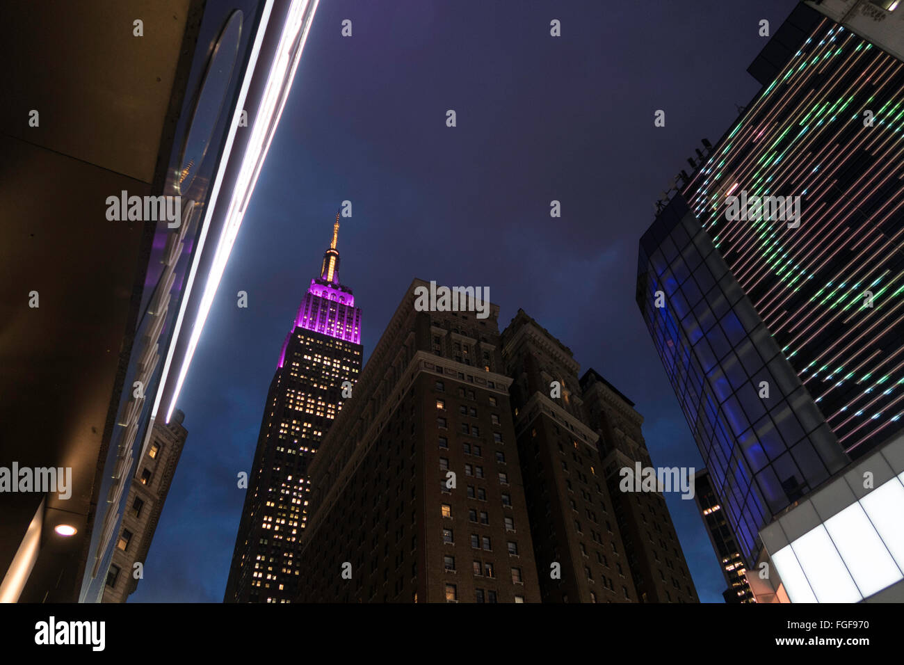 Empire State Building illuminato in porpora e giallo per il centoquarantesimo annuale di Westminster Kennel Club tutto razza Dog Show, NYC, STATI UNITI D'AMERICA Foto Stock