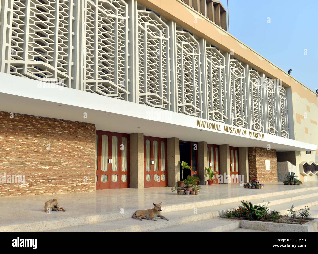 I cani di strada è entrato in Museo Nazionale locali e seduti sulle scale può essere dannosa per i visitatori che mostra la negligenza di Watchmen, a Karachi il Venerdì, 19 febbraio 2016. Foto Stock