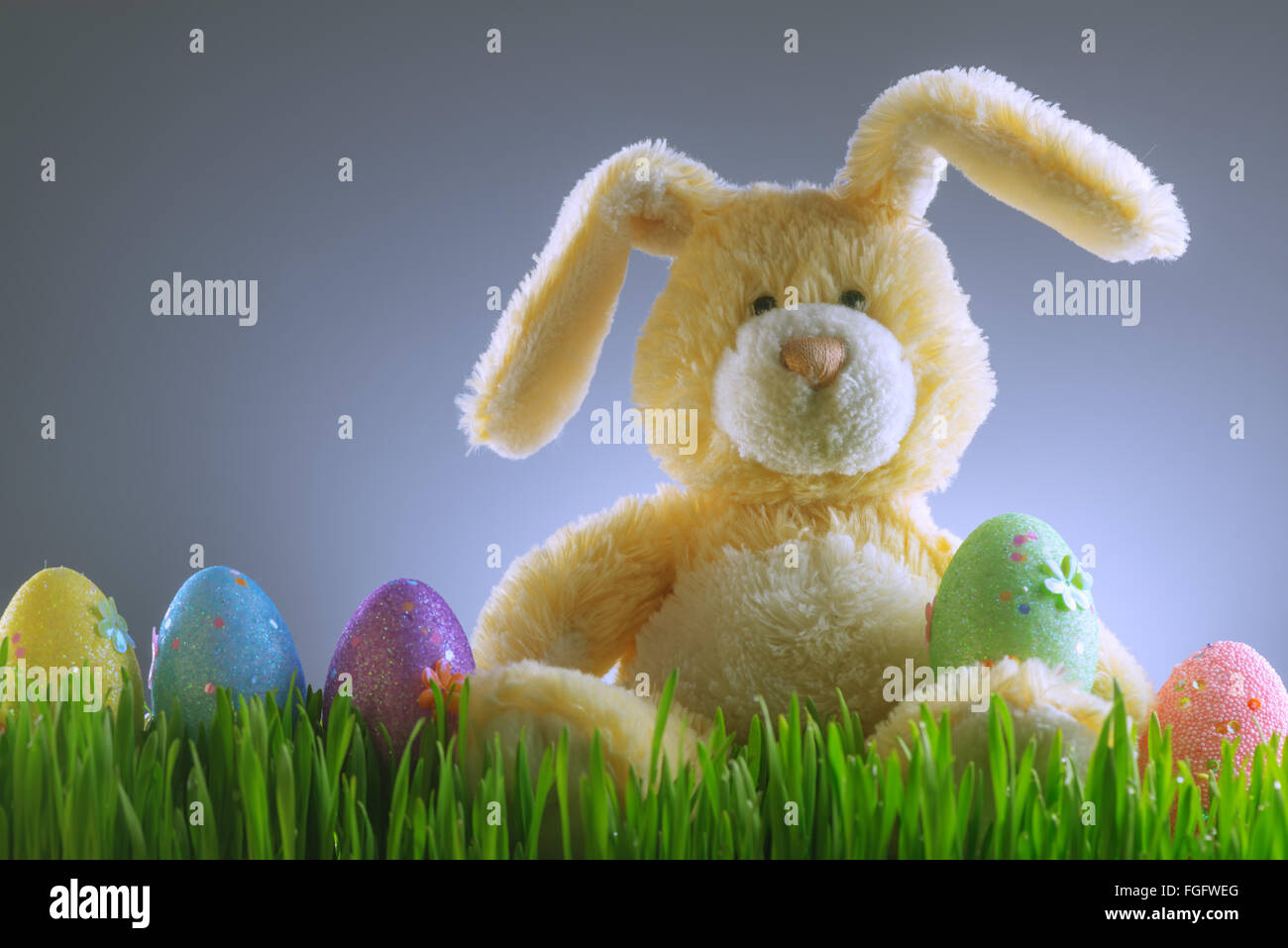 Sfondo di pasqua con bunny e uova Foto Stock