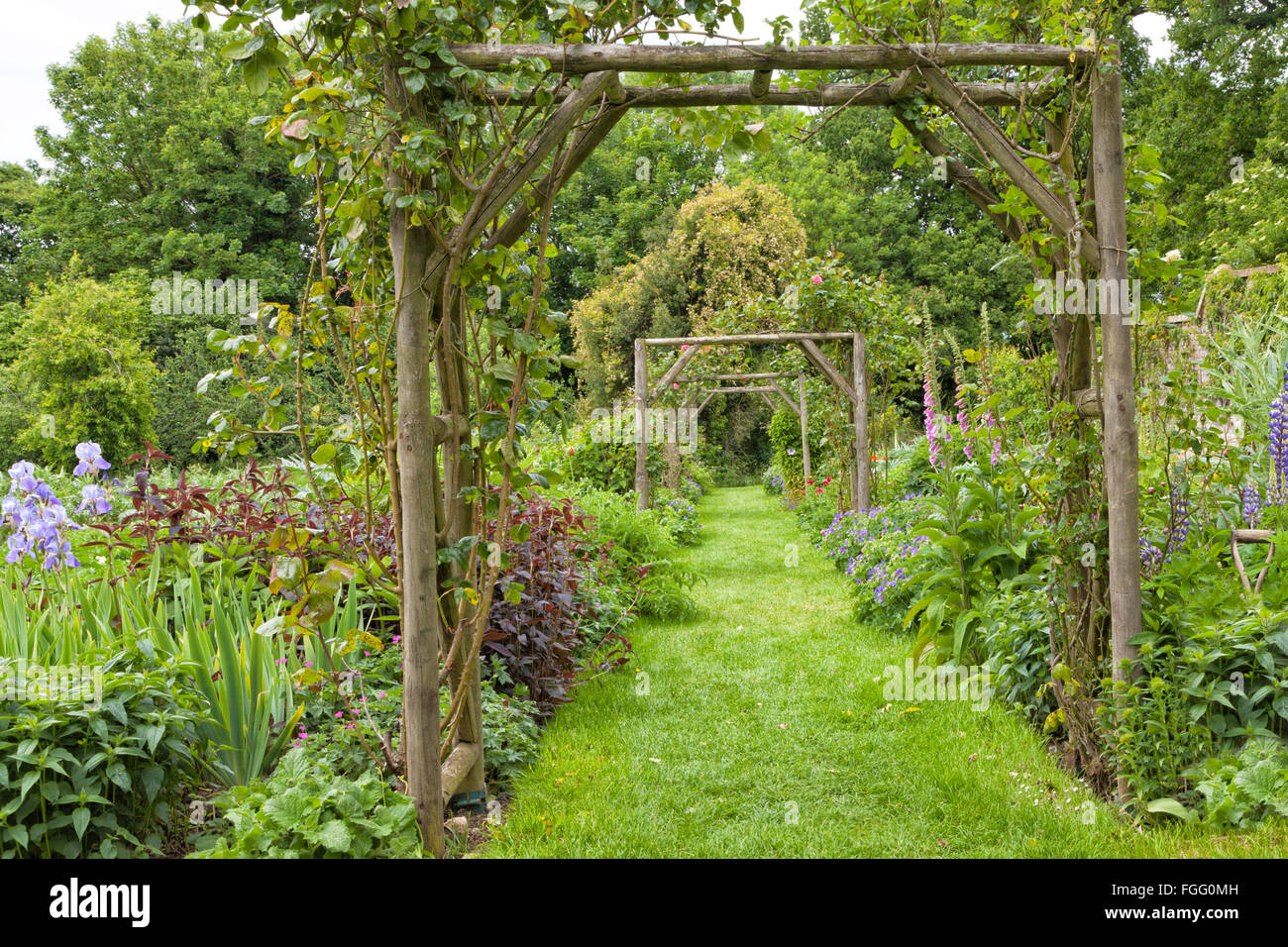 Vegetali e Flower Garden cottage con un erba verde percorso a piedi in legno arco di rose Foto Stock