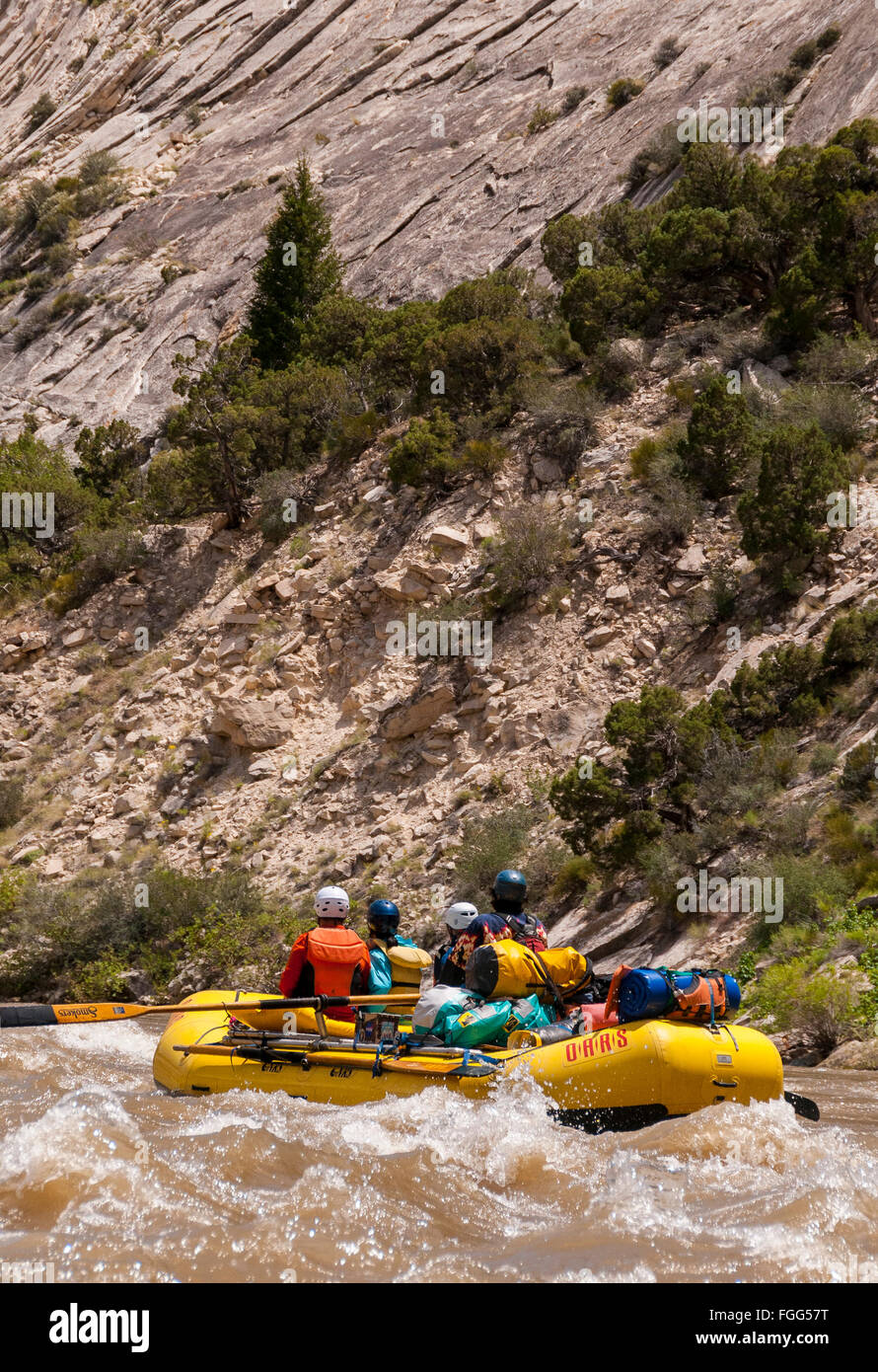 Rafting attraverso il gruppo sezione di montagna, Green River Canyon, Dinosaur National Monument, Utah. Foto Stock