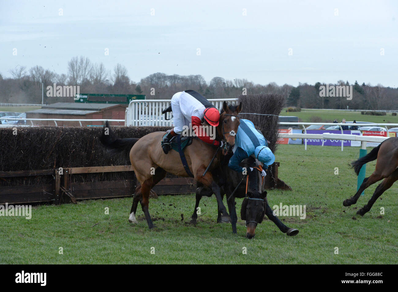 Fakenham gare 19.02.16 Victoria Pendleton cade dal suo cavallo Pacha Du Polder dopo lo scontro con Blu Baltico cavalcato da Carey Williamson durante la 4.15 gara a Fakenham. Foto Stock