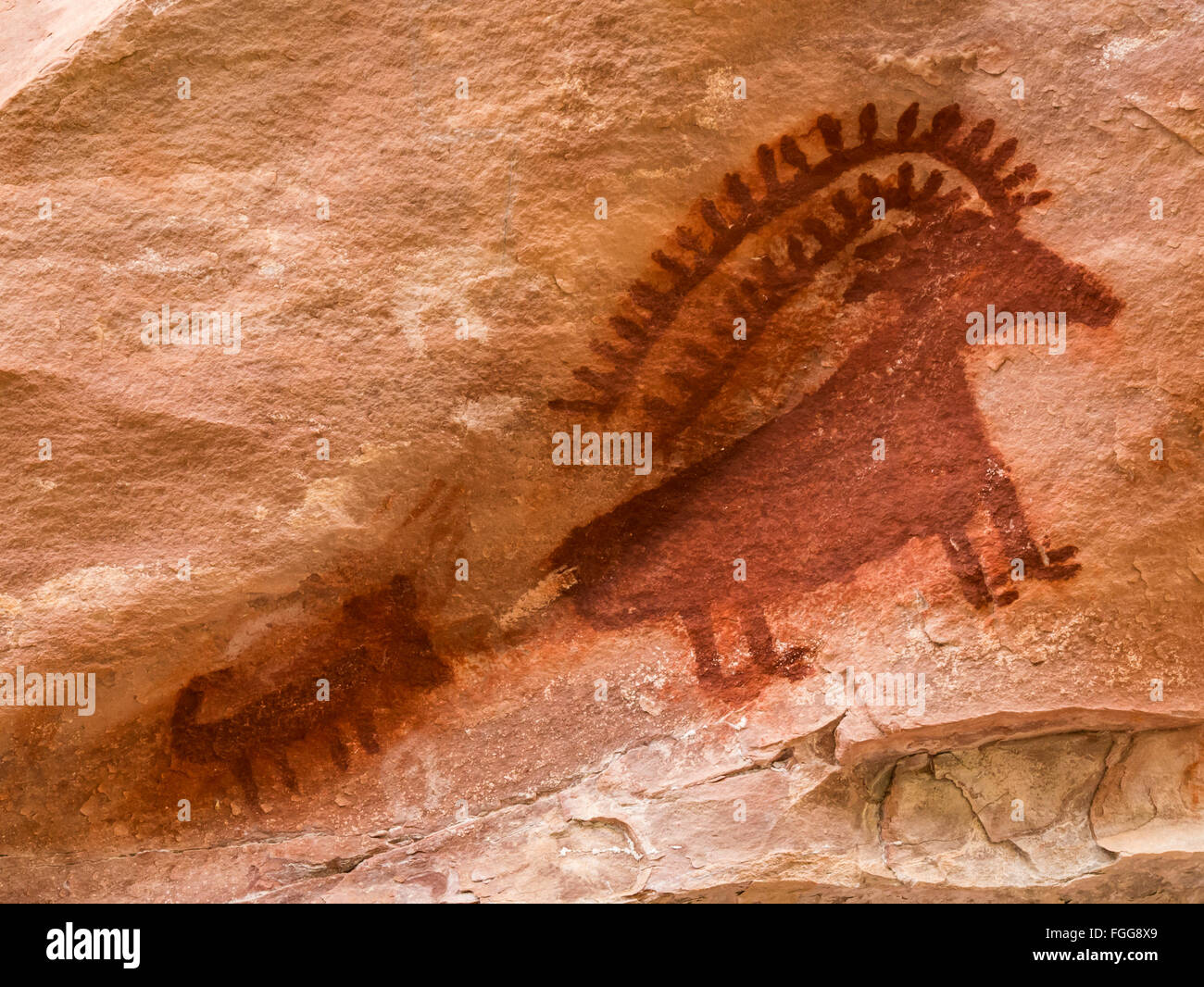 Pittogrammi, Jones Foro Creek, Green River, Dinosaur National Monument, Utah. Foto Stock