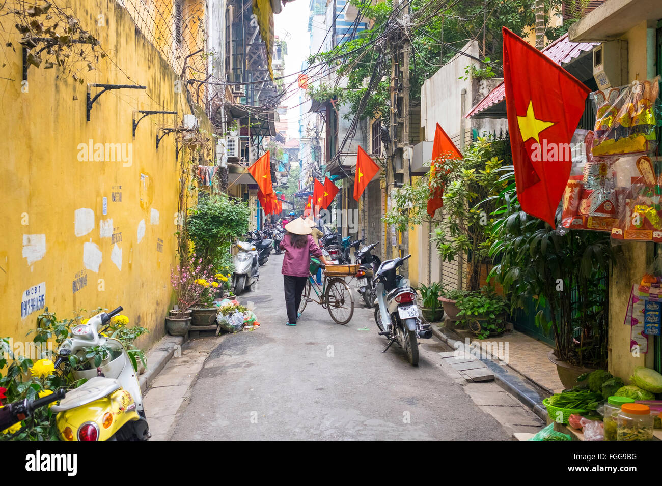 Donna vietnamita spingendo bicicletta attraverso vicolo, Hanoi Foto Stock