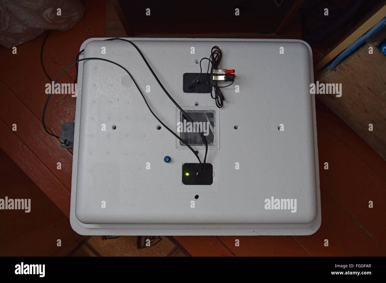 Incubatore per una conclusione di polli, Piccole anatre e oche. Attrezzature per un uso domestico. Foto Stock