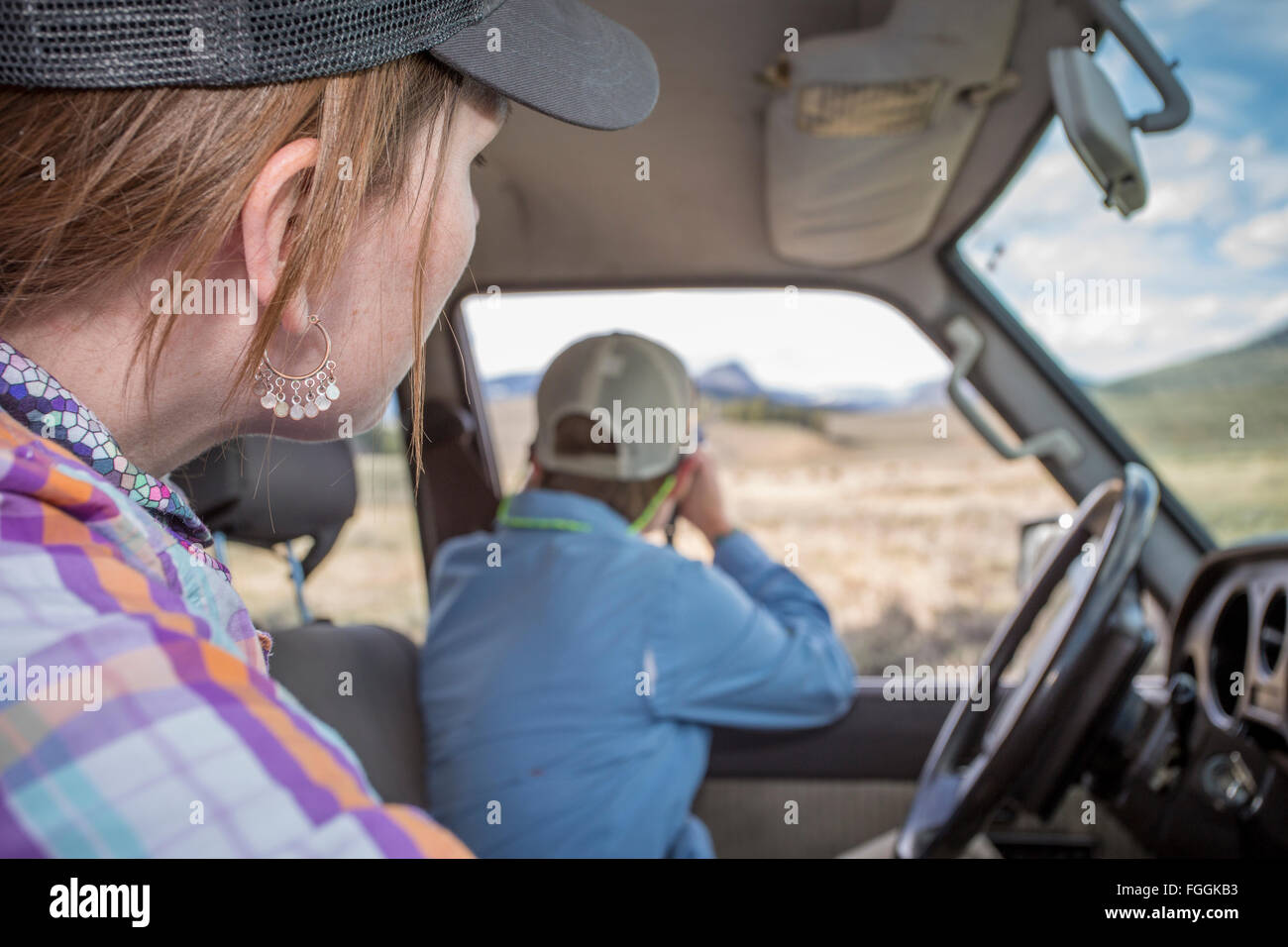 Donna spot wildlife dal loro Land Cruiser in Yellowstone Country. Foto Stock