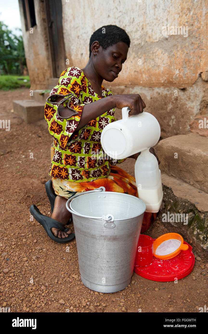 Signora ugandese filtrando il latte fresco per assicurarsi che sia pulita. Foto Stock