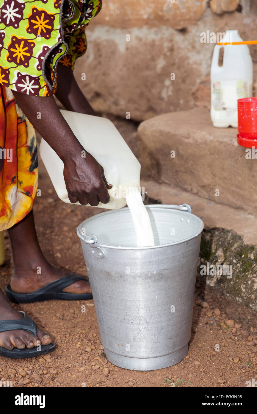 Signora ugandese filtrando il latte fresco per assicurarsi che sia pulita. Foto Stock