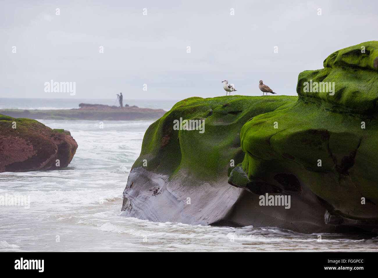 Grandi onde durante un rigonfiamento del Sud a La Jolla Beach a San Diego in California. Foto Stock