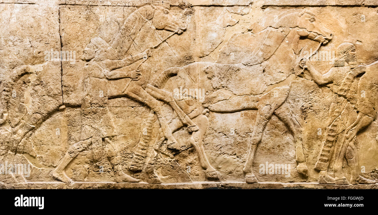Lion hunt rilievi c.645-635 BC dal palazzo del re Ashurbanipal in Ninevah, Galleria assira, British Museum di Londra, Regno Unito Foto Stock