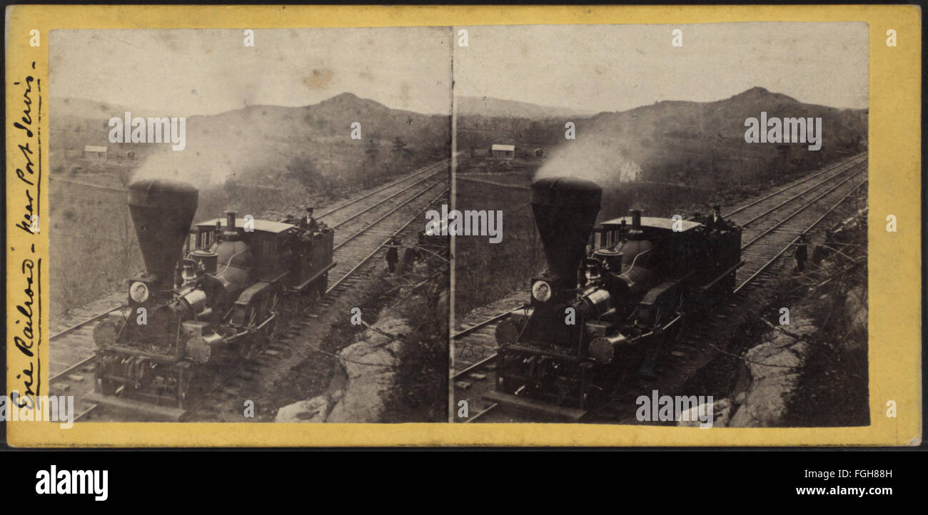 Fotografia che mostra una vista panoramica vicino a Port Jervis, New York, scattata da E. & H.T. Anthony. L'immagine cattura il paesaggio naturale e la vista sul fiume della zona. Foto Stock