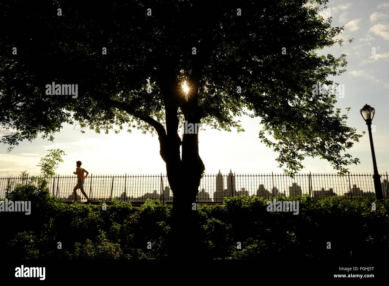 Tirata indietro vista di un uomo che corre nel centro ParkNew York City Foto Stock