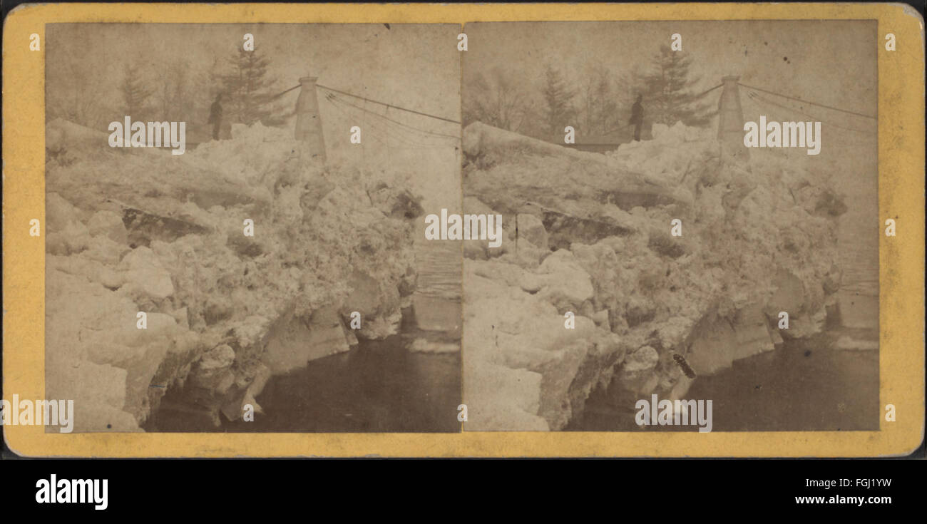 Questa fotografia di E.P. Masterson mostra il ghiaccio nel fiume Delaware a Port Jarvis, New York, dopo un'inondazione del 17 marzo 1875, catturando le conseguenze del disastro naturale. Foto Stock