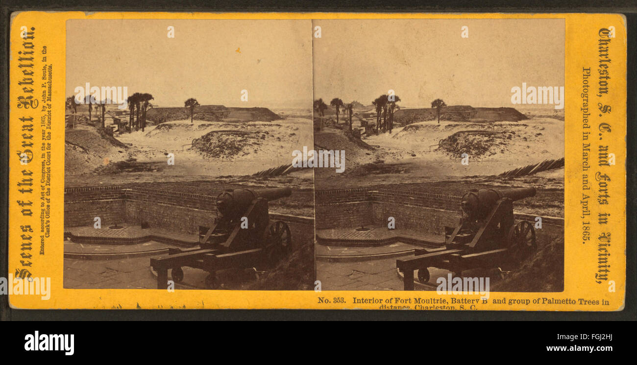 Interno del Fort Moultrie. Batteria B e gruppo di alberi a palmette in distanza, Charleston, S.C, da Soule, John P., 1827-1904 Foto Stock