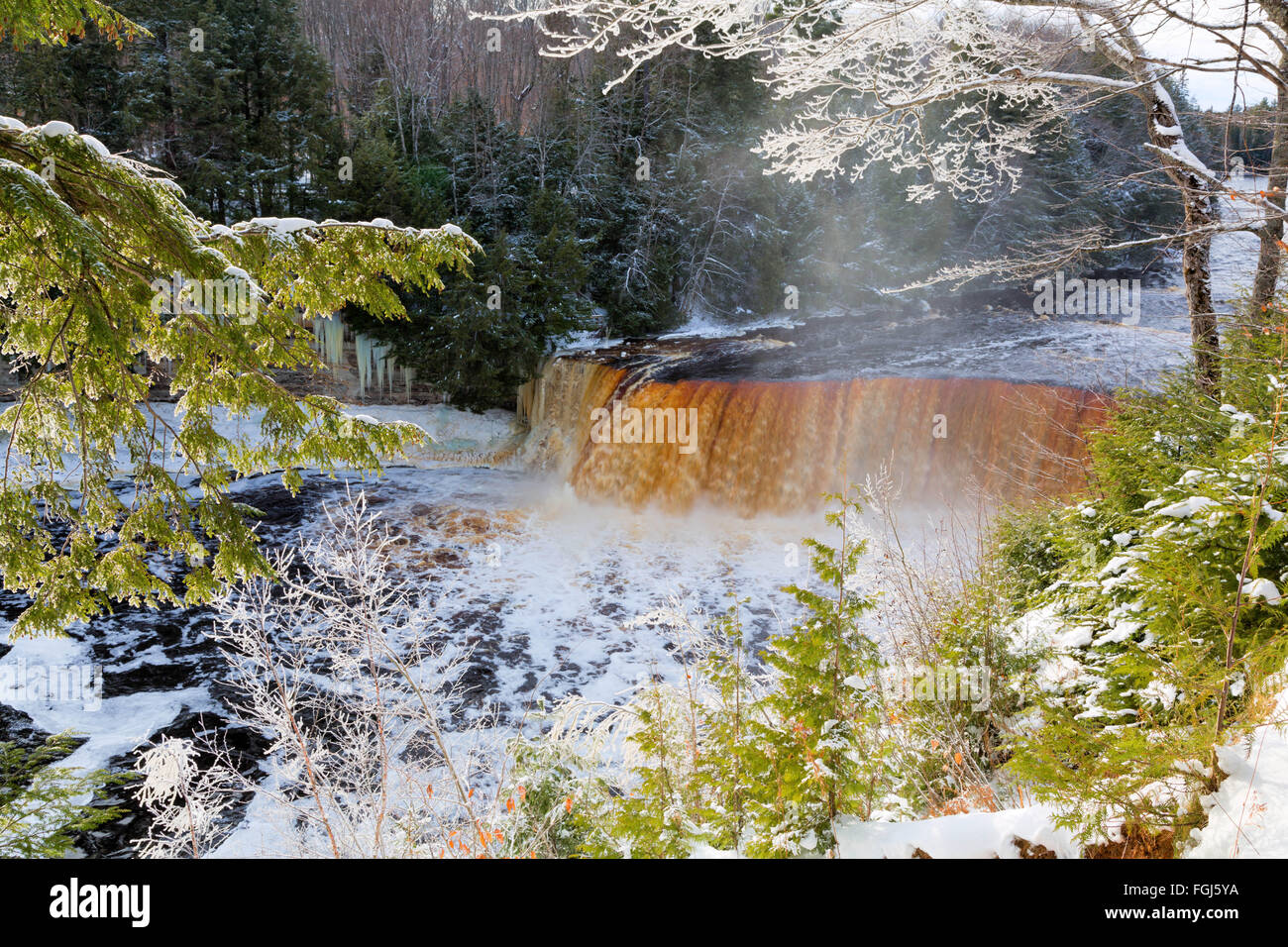 Tahquamenon Falls in inverno. Il ghiaccio racchiude i rami degli alberi nella Penisola Superiore del Michigan Foto Stock