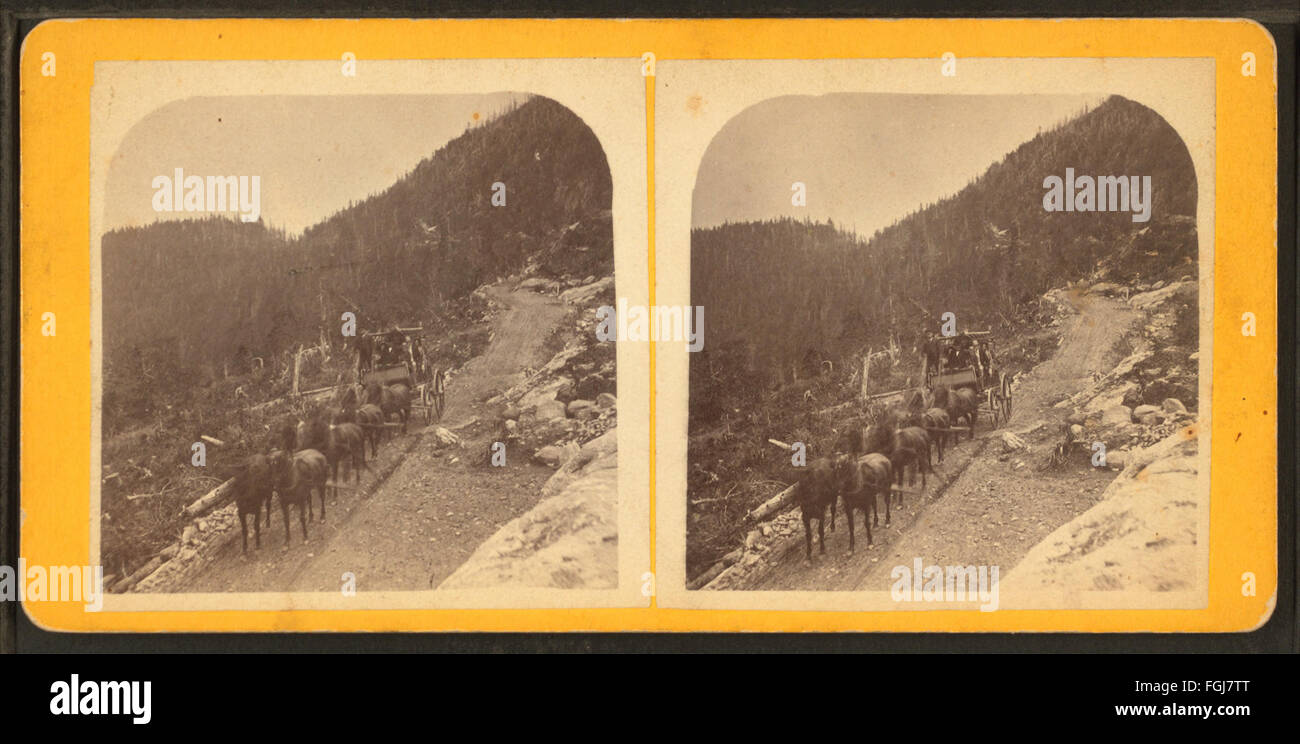 Avvicinandosi al vertice, Mt. Mansfield, da Robert N. Dennis raccolta di vista stereoscopica Foto Stock