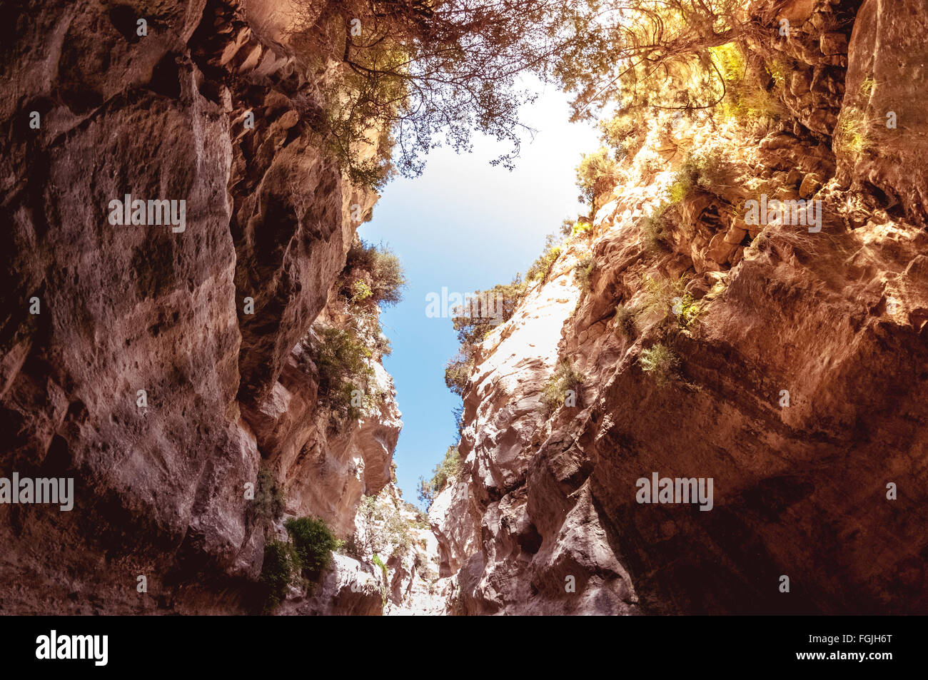 Avakas Gorge. Distretto di Paphos, Cipro. Foto Stock