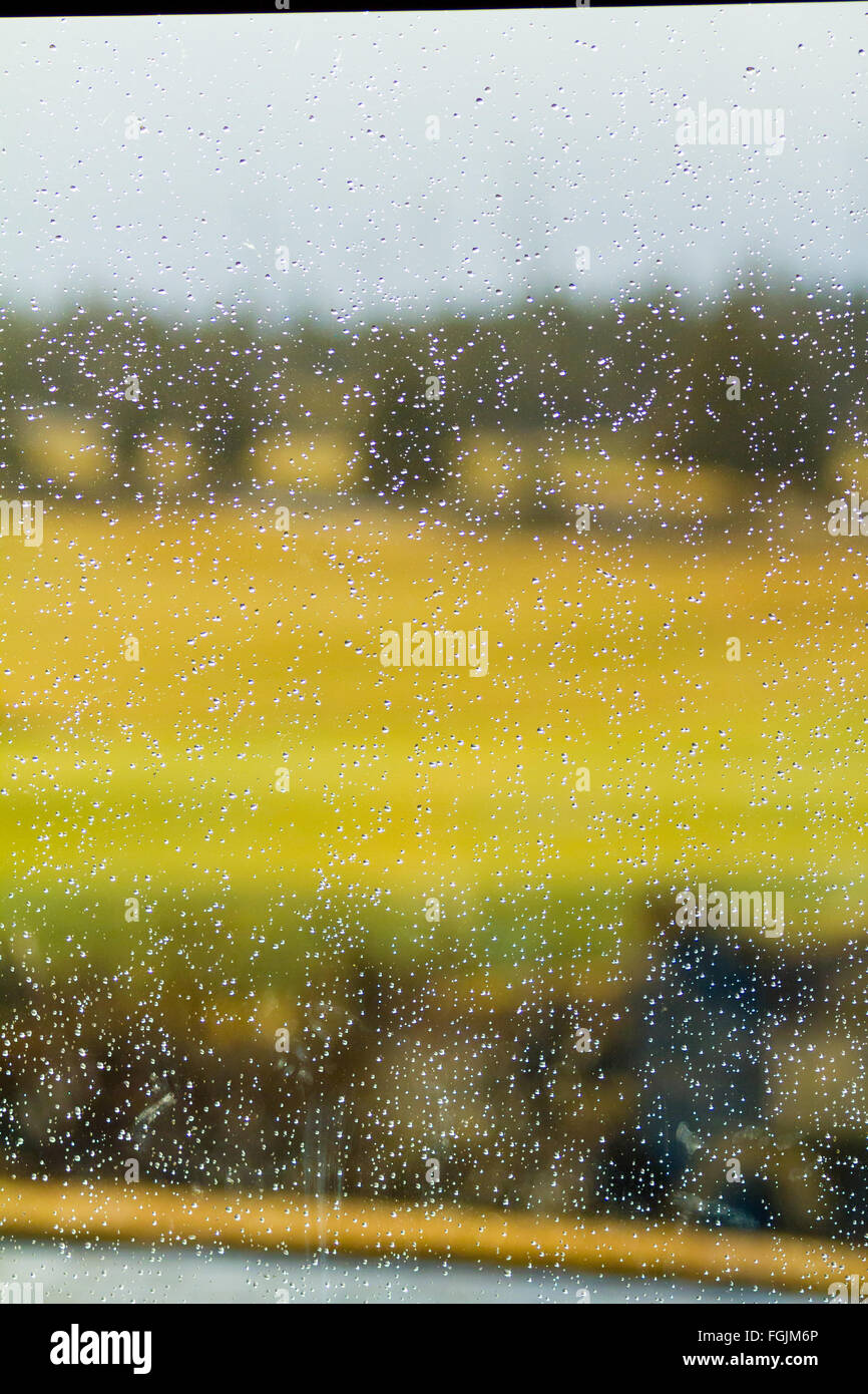 Tempo piovoso a un campo da golf ha lasciato delle gocce di pioggia sulla superficie del vetro con la natura al di fuori in questo riassunto immagine di tessitura. Foto Stock