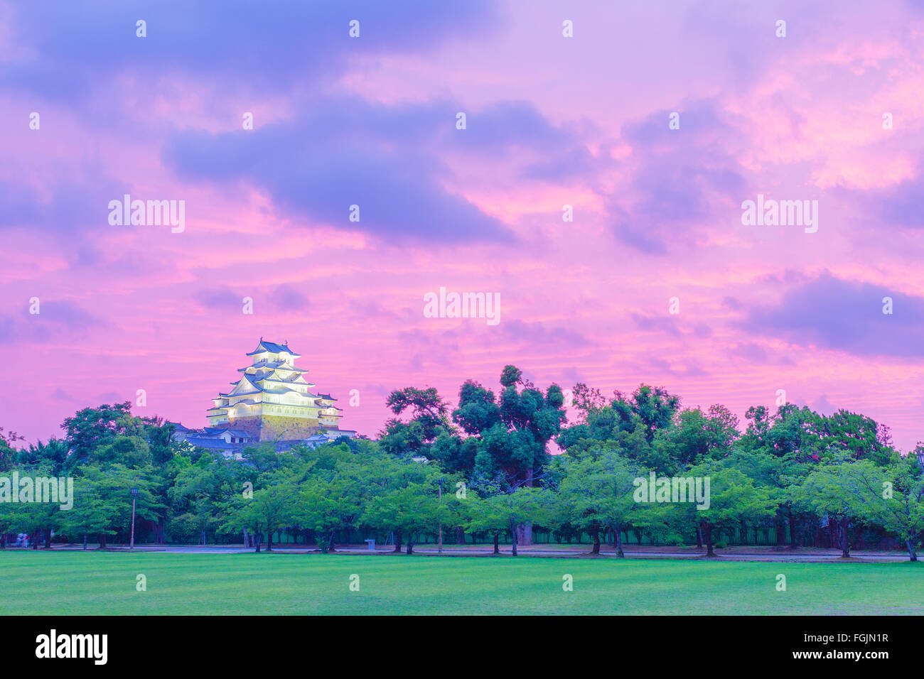 Vivacemente colorato Cielo di tramonto dietro di Himeji-jo il Castello e albero verde e di erba in primo piano Himeji, il Giappone ha riaperto dopo 2015 ren Foto Stock