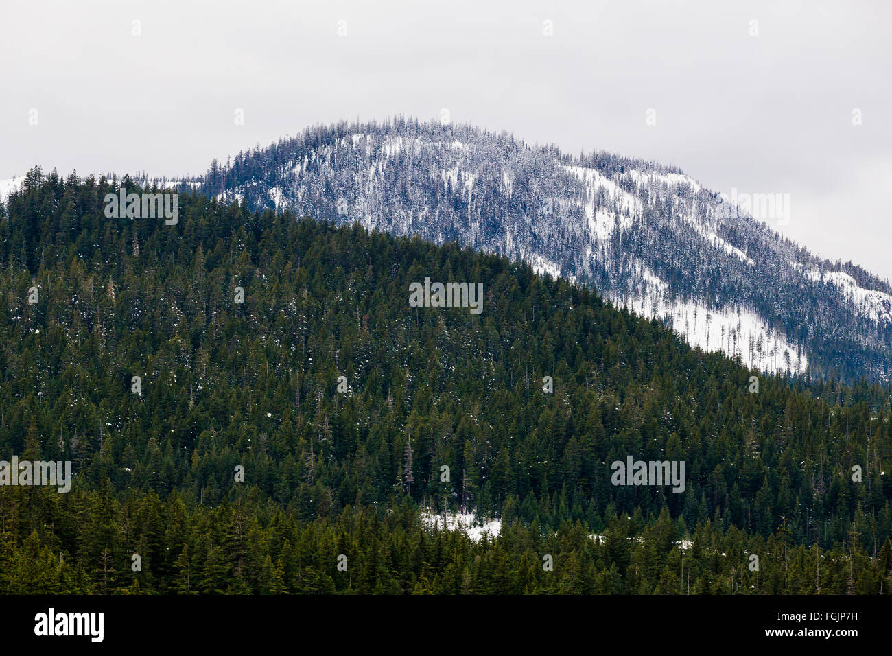 In inverno la neve sulla cima delle montagne in Oregon vicino Willamette Pass e Diamond Peak. Foto Stock