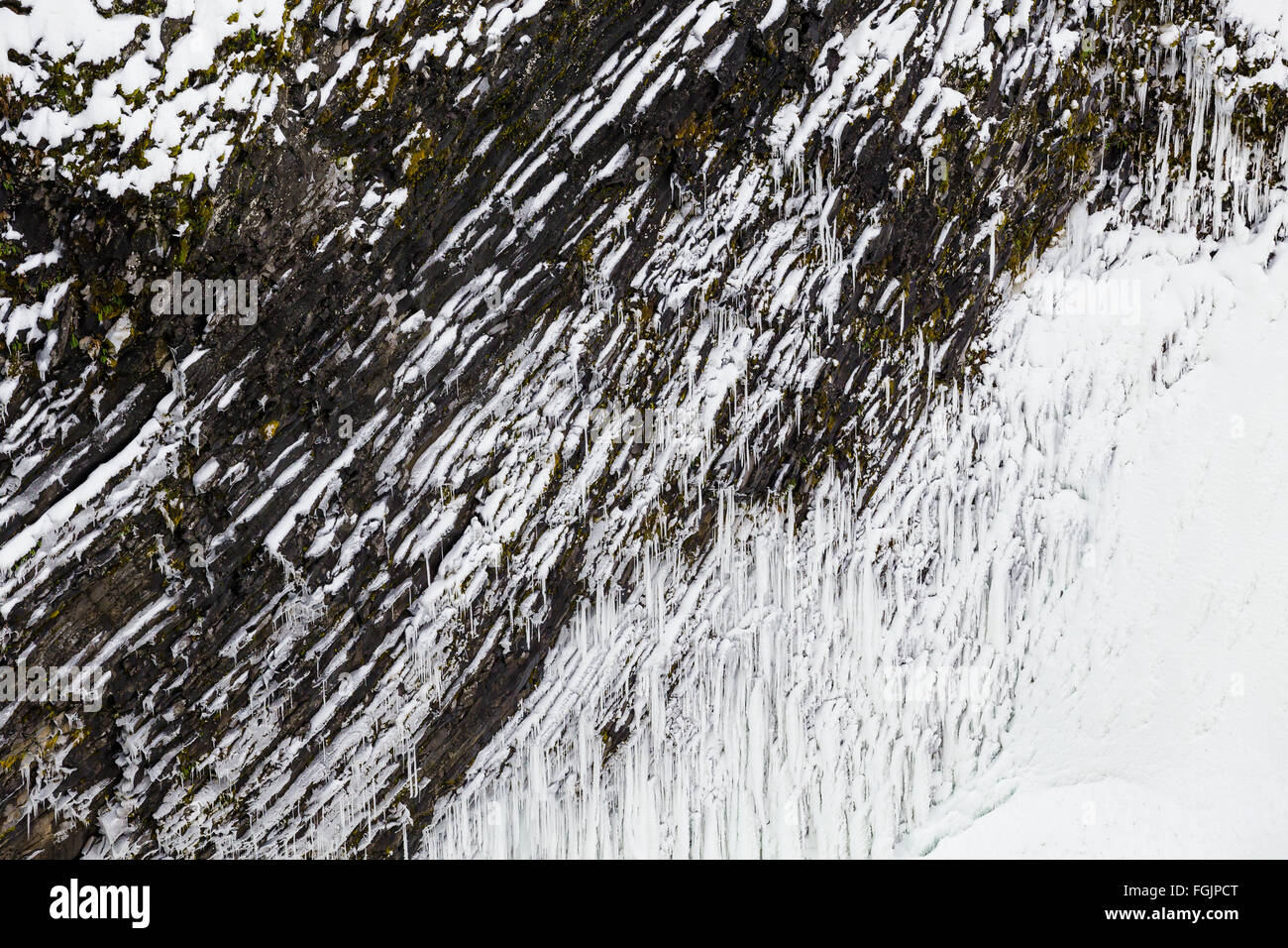 Icy scogliera con rocce congelati nei pressi di una cascata in Oregon. Foto Stock