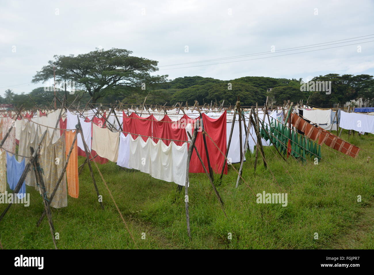 Kochi, India - 1 Novembre 2015 - Open air e lavanderia a gettoni Dhobi Ghat di Kochi, in India del Sud Foto Stock