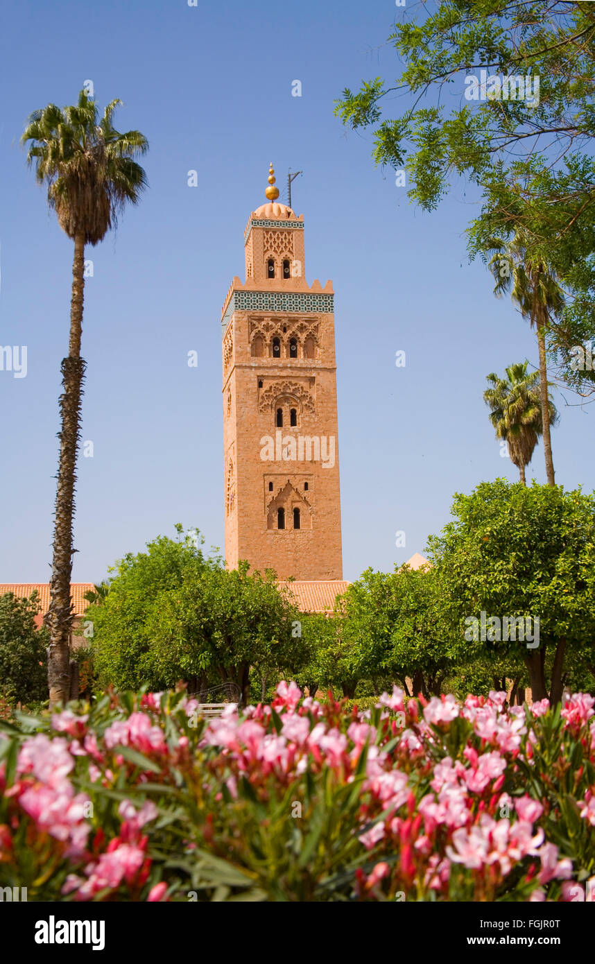 La Moschea di Koutoubia di Marrakech . Il Marocco Foto Stock