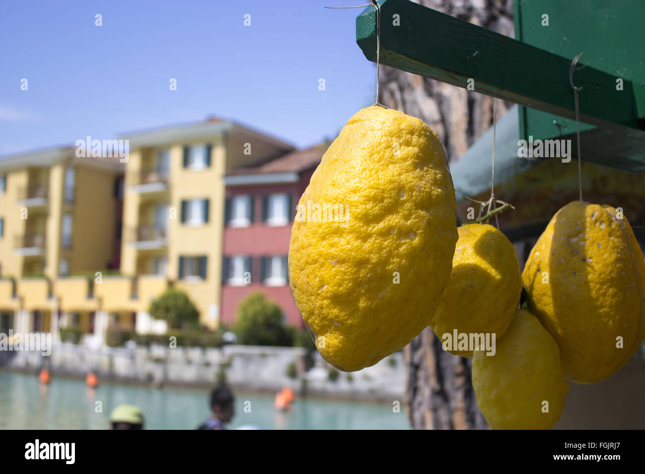 Limoni per la vendita con il lago di Garda case in background Foto Stock