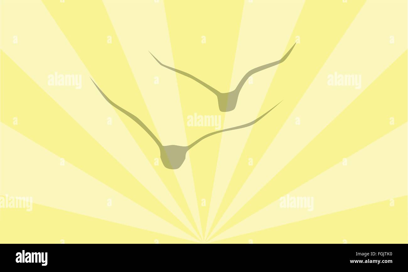 I raggi suns insieme contro una coppia di uccelli in volo Illustrazione Vettoriale