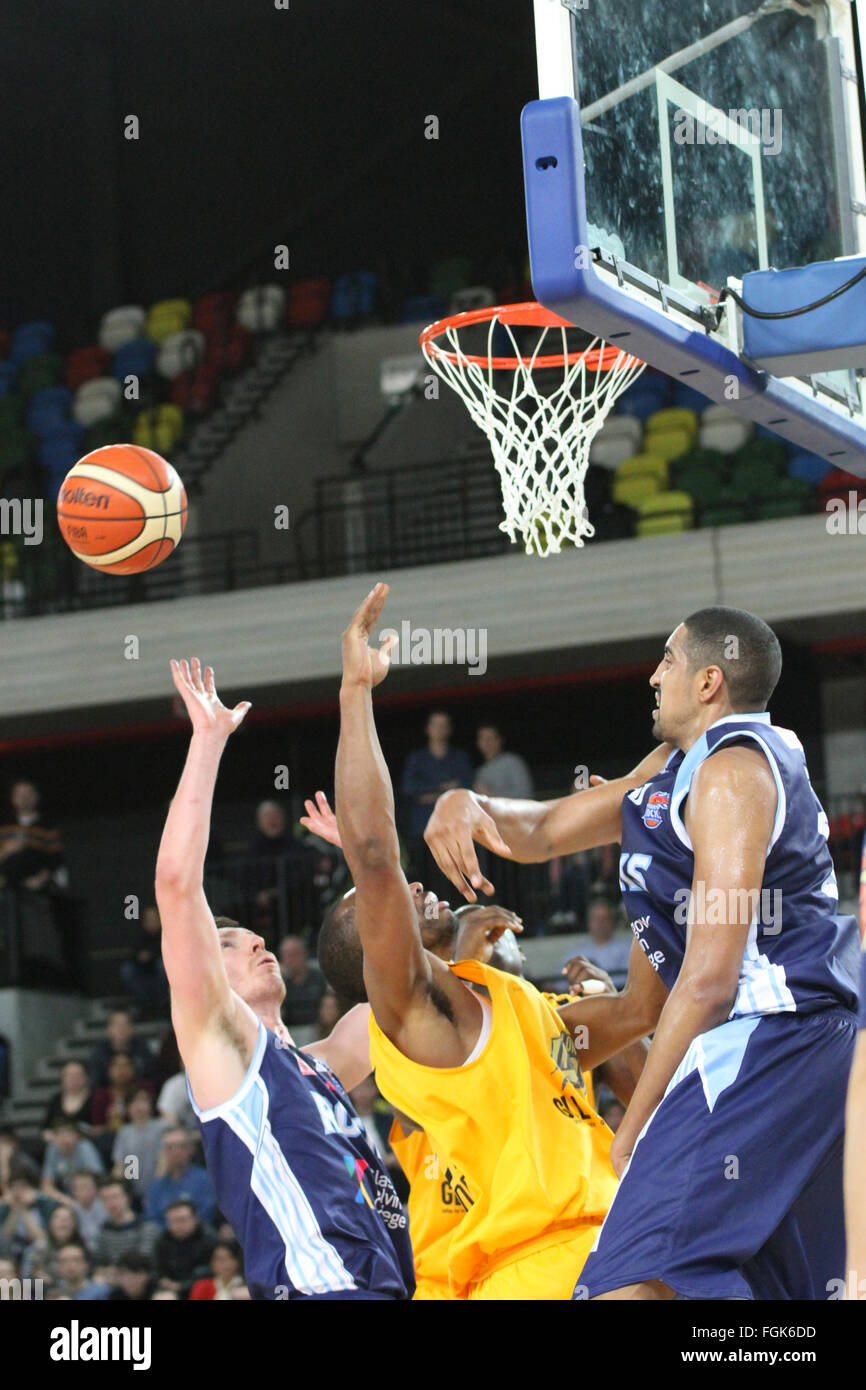 Londra, UK, 19 febbraio 2016. I giocatori in azione durante il London Lions vs. Glasgow Rocks BBL gioco presso la casella di rame Arena del Parco Olimpico. Credito: Rastislav Kolesar/Alamy Live News Foto Stock