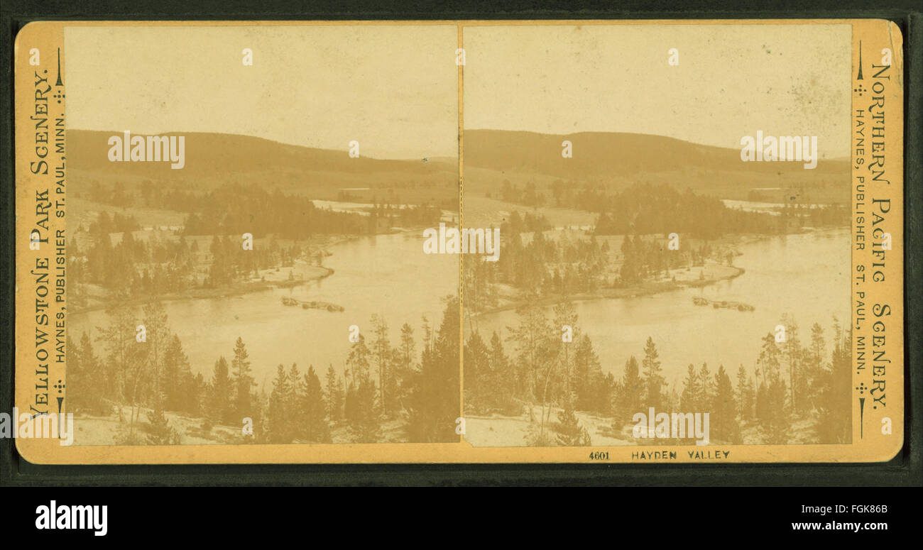 Hayden Valley, da Haynes, F. Jay (Frank Jay), 1853-1921 Foto Stock