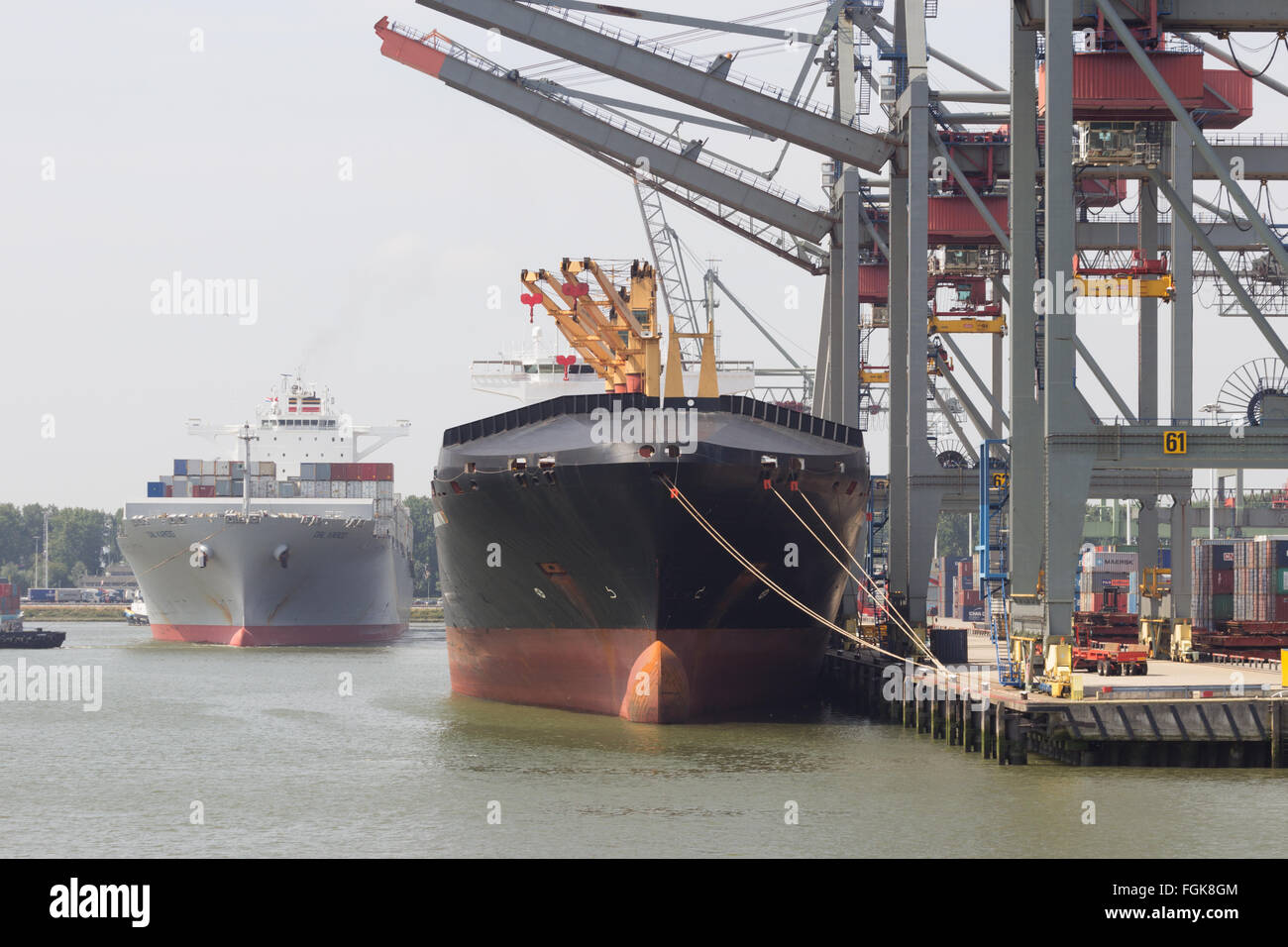 Contenitore le navi ormeggiate in corrispondenza di un terminale per container nel porto di Rotterdam. Il porto è il Europ è ampia Foto Stock