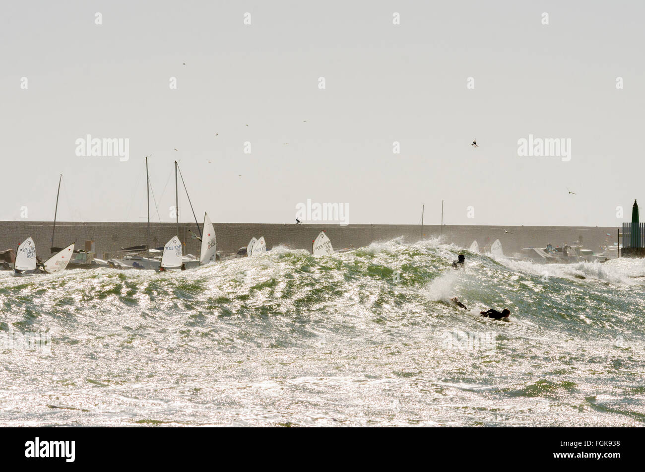 Fuengirola, Malaga, Andalusia, Spagna. Xx Febbraio 2016. barche a vela della scuola di vela e surf vicino a port. Codice arancione è dato per il mare mosso e vento. Credito: Perry Van Munster/ Alamy Live News Foto Stock