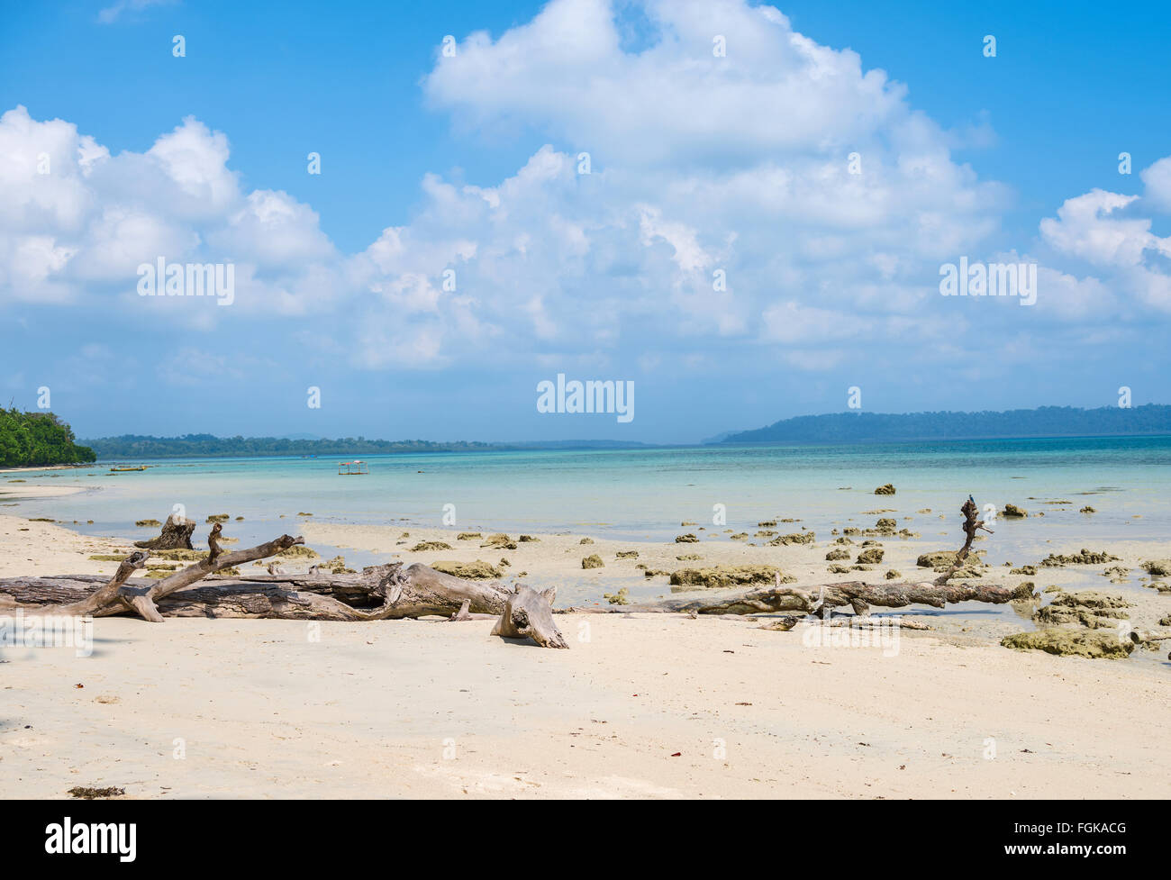 Mare incontaminato shore in Havelock island, Andaman, India Foto Stock