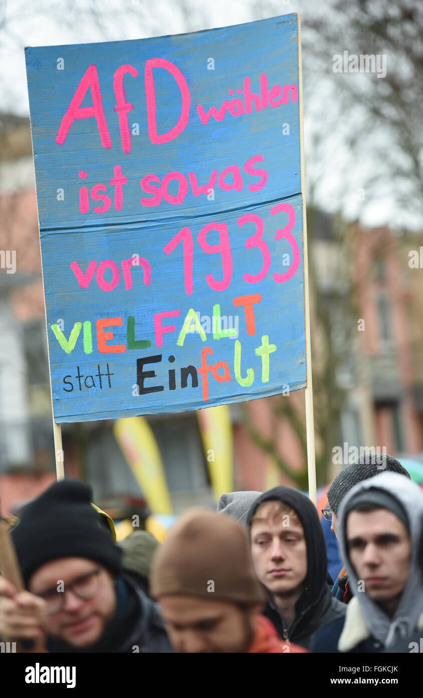 I dimostranti di tenere un plcacrd nelle loro mani che recita "voto per AfD è totalmente come 1933 - Diversità invece di ingenuità' durante un rally a sostegno della libertà di stampa in Mainz, Germania, 20 febbraio 2016. Il 'Buendnis fuer Pressefreiheit und unabhaengige Berichterstattung' (Alleanza per la libertà di stampa e di reporting independen) ha organizzato una manifestazione di protesta di un rally detenute da "Karlsruhe wehrt sich' (Karlsruhe resist), una propaggine regionale dell'anti-islamico e xenofobi Pegia movimento, che a loro volta stanno protestando contro la pubblica Emittente Suedwestrundfunk (CFA). Foto: Ar Foto Stock