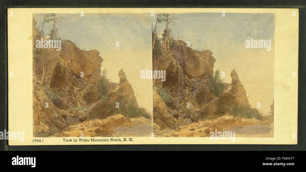 Vista in Montagna Bianca tacca, da Bierstadt fratelli Foto Stock