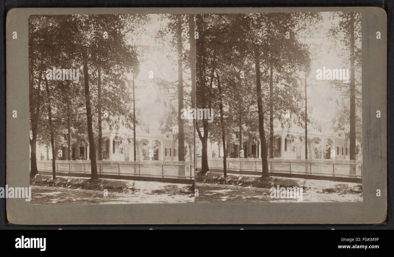 Vista sugli alberi e la casa, da DeMott, S., fl. 1880-1899 Foto Stock