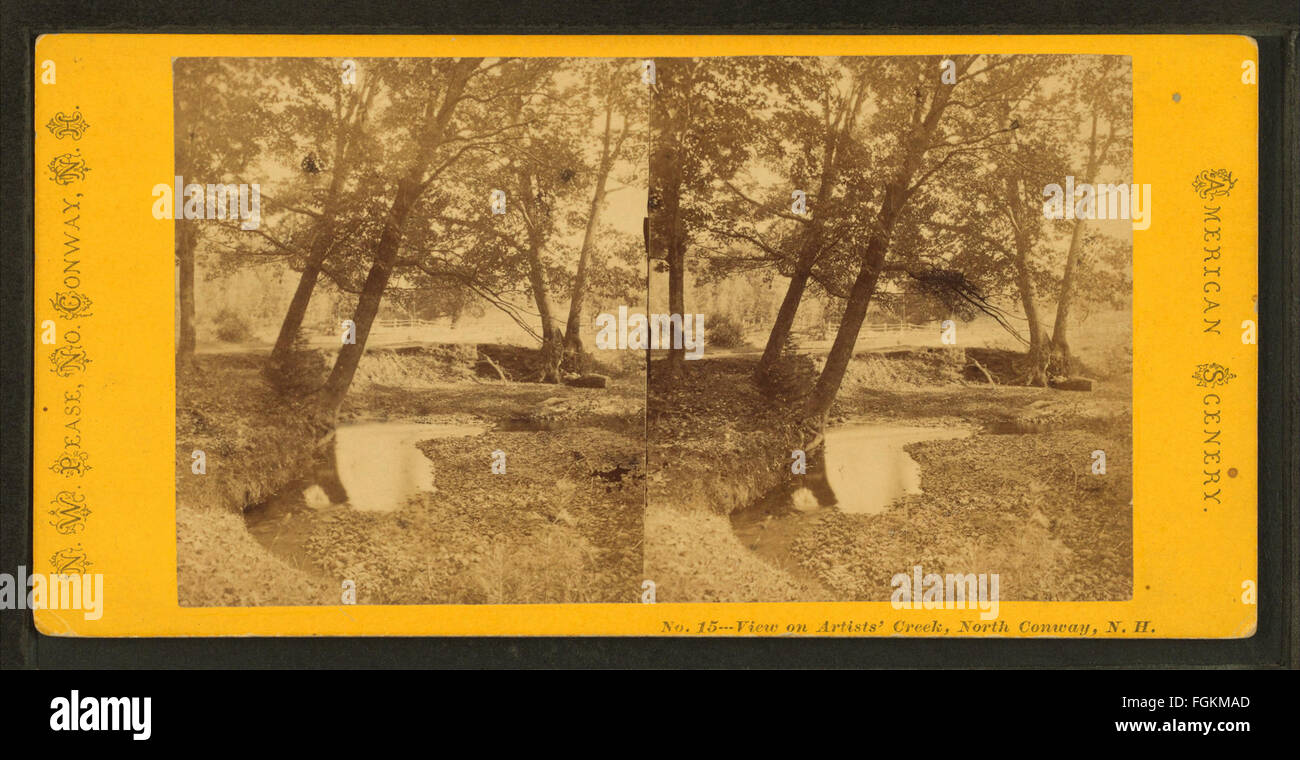 Vista su artista's Creek North Conway, N.H, per pease, N. W. (Nathan W.), 1836-1918 Foto Stock