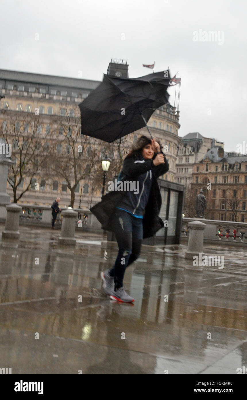 Londra, UK, 20 febbraio 2016, su Trafalgar Square. Il vento e la pioggia a Londra come mini onda di calore previsto. Credito: JOHNNY ARMSTEAD/Alamy Live News Foto Stock