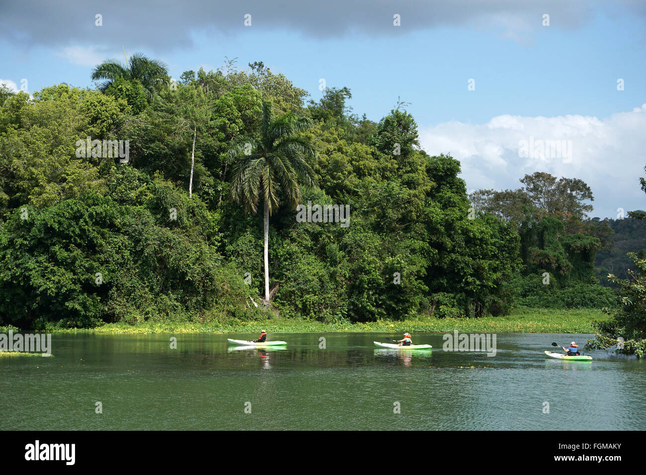 Canoa sul fiume Chagres, vicino al lago Gatun, al Soberania National Parc a Panama.Big Crocodiles americani vivono nel Rio Chagres Foto Stock