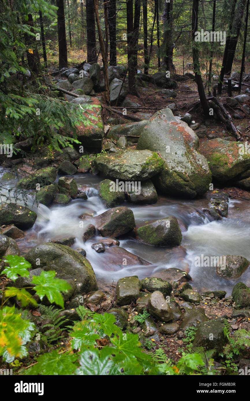 Piccola insenatura nella foresta di roccia in montagna Foto Stock