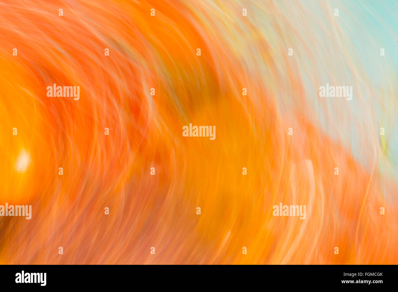 Abstract con sfondo sfocato che scorre acqua miscelata con olio Foto Stock