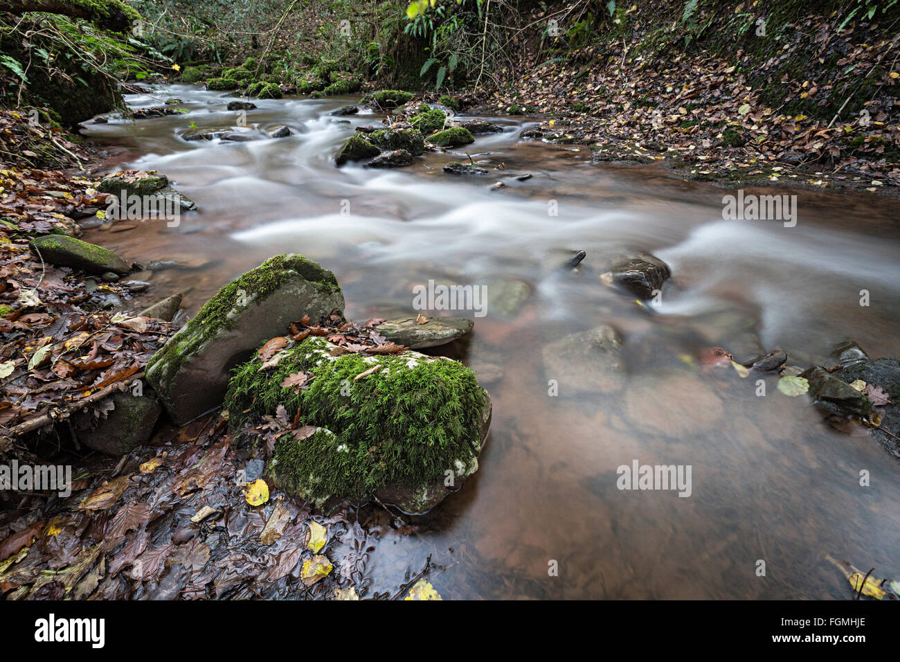 Flusso in Pwll-y-Wrach Riserva Naturale, Talgarth, Wales, Regno Unito Foto Stock
