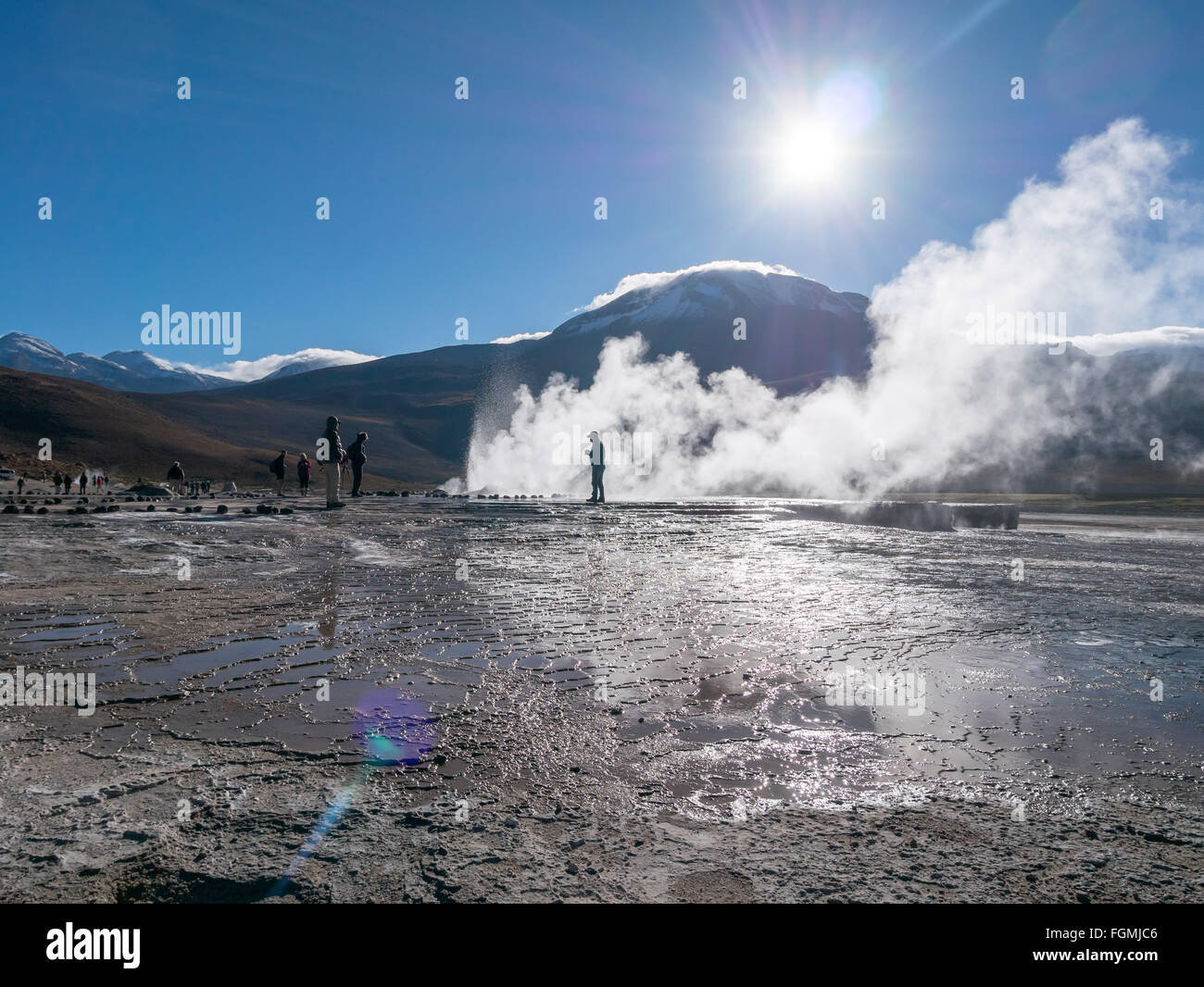 Valle di geyser di El Tatio nord del Cile presso Sunrise Regione di atacama vicino alla frontiera boliviana Foto Stock