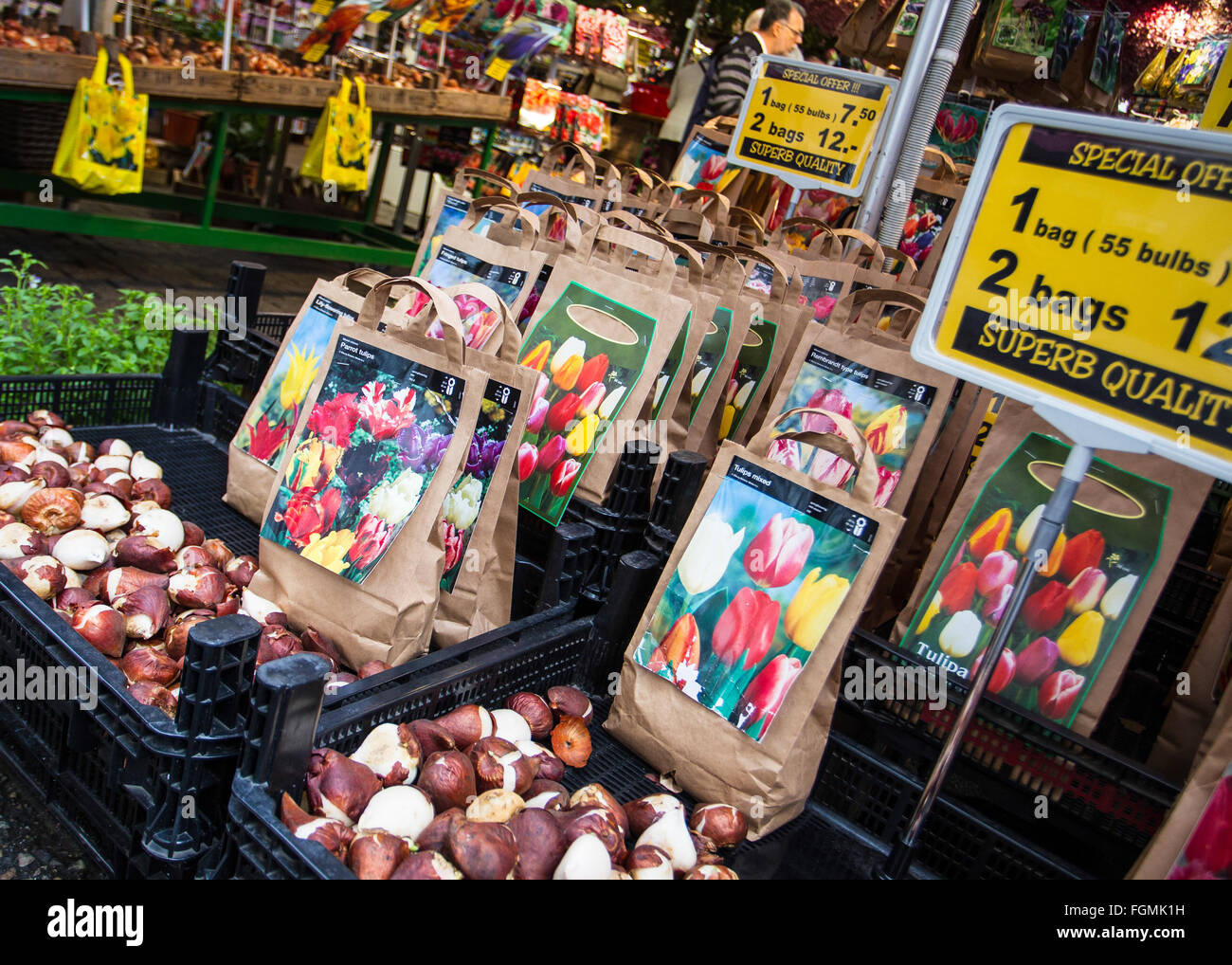 Bulbi di tulipani in vendita su un mercato dei fiori di Amsterdam Foto Stock