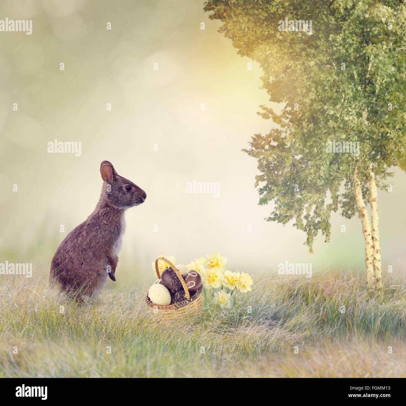 Il coniglio e le uova di cioccolato nel cestello Foto Stock