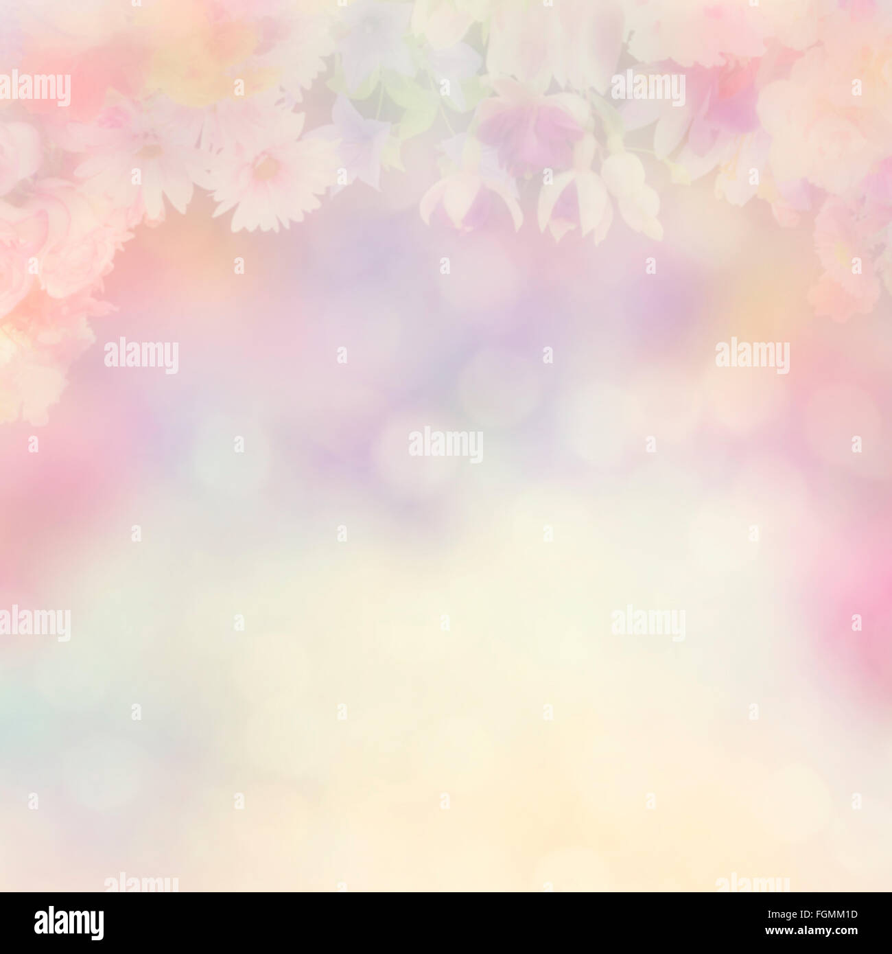 Natura sfondo astratto con fiori Foto Stock