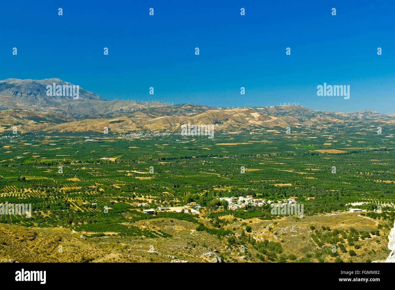 Griechenland, Kreta, Massara-Ebene, die fruchtbare Tiefebene ist mit 40 km Länge und 20 Km Breite die grösste Kretas. Foto Stock